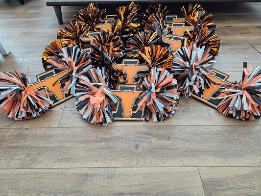 Lanier Cheer Stick