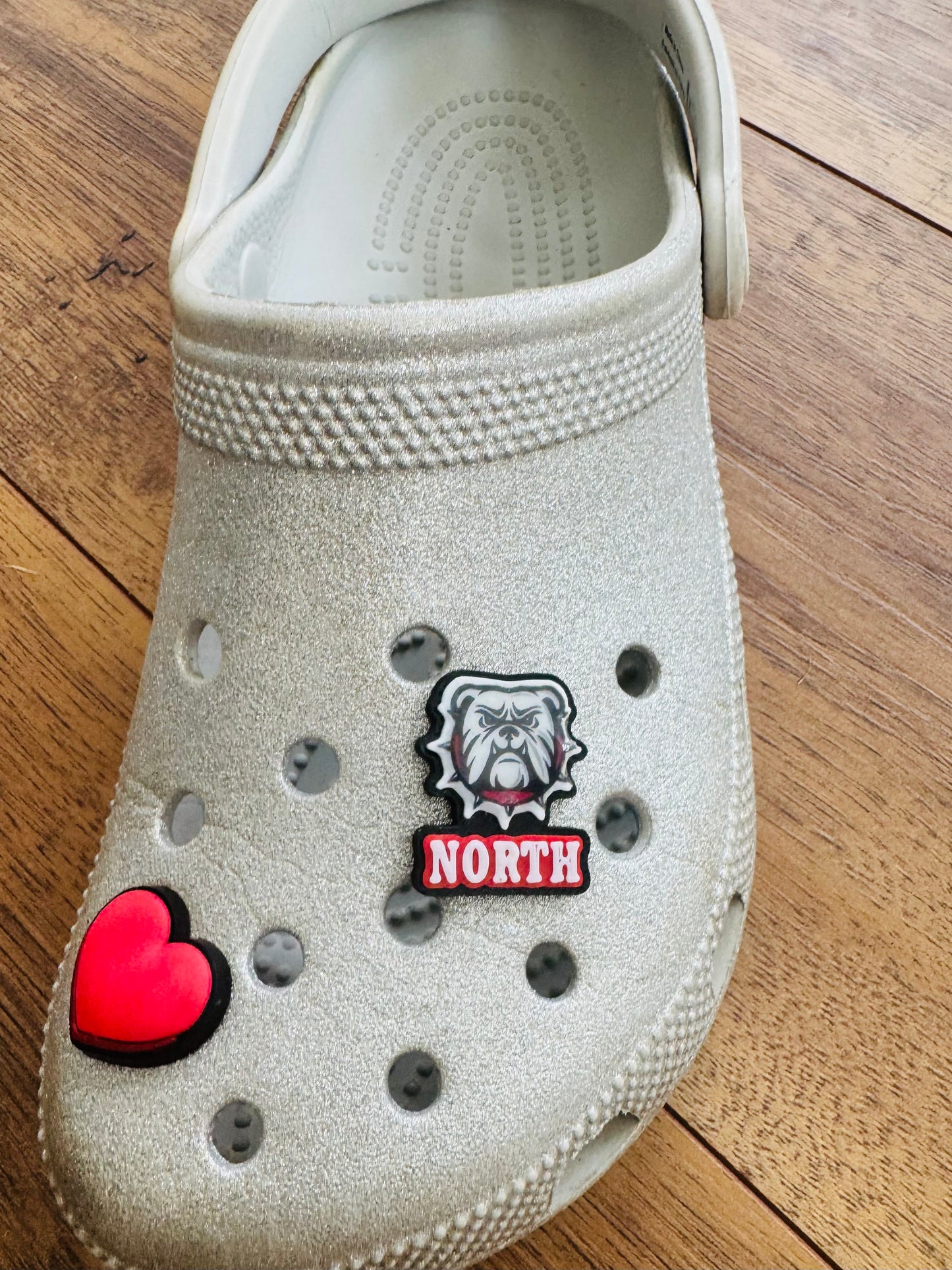 NG Croc Charm